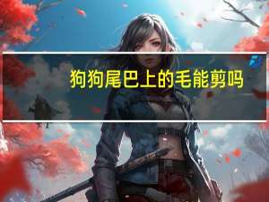 狗狗尾巴上的毛能剪吗