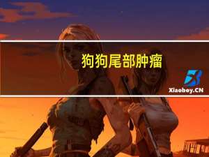 狗狗尾部肿瘤