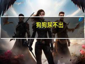 狗狗尿不出