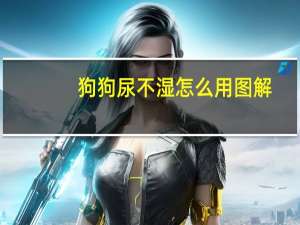 狗狗尿不湿怎么用图解