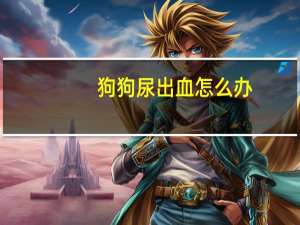 狗狗尿出血怎么办