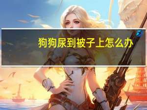 狗狗尿到被子上怎么办