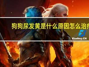 狗狗尿发黄是什么原因怎么治疗（狗狗尿发黄是什么原因）