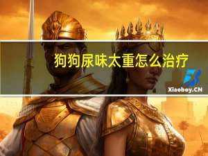 狗狗尿味太重怎么治疗