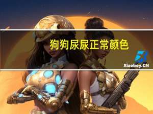 狗狗尿尿正常颜色
