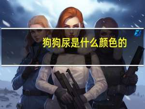 狗狗尿是什么颜色的