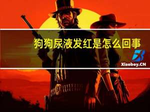 狗狗尿液发红是怎么回事