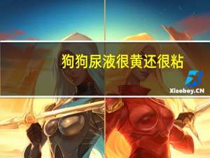 狗狗尿液很黄还很粘