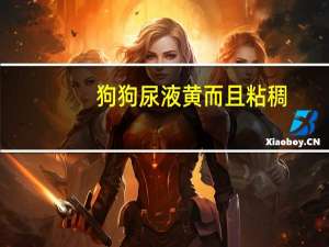 狗狗尿液黄而且粘稠