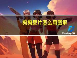 狗狗尿片怎么用图解