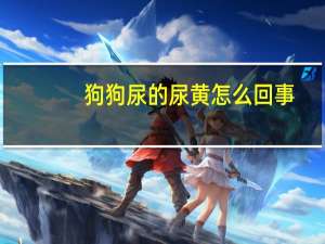 狗狗尿的尿黄怎么回事