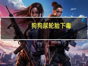 狗狗尿轮胎下毒