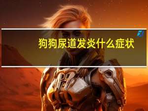 狗狗尿道发炎什么症状