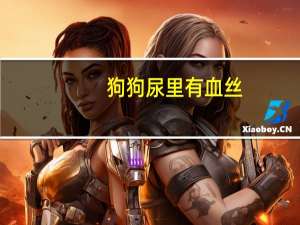 狗狗尿里有血丝