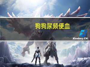 狗狗尿频便血