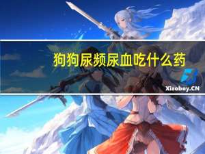 狗狗尿频尿血吃什么药