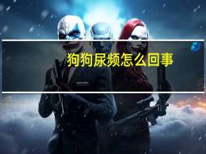 狗狗尿频怎么回事