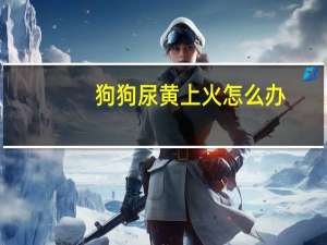 狗狗尿黄上火怎么办