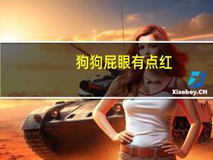 狗狗屁眼有点红