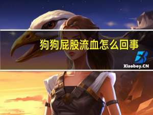狗狗屁股流血怎么回事