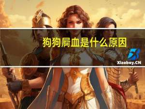 狗狗屙血是什么原因