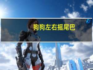 狗狗左右摇尾巴