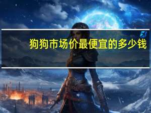 狗狗市场价最便宜的多少钱