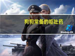 狗狗常备的呕吐药
