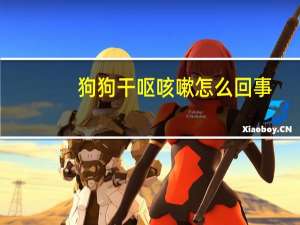 狗狗干呕咳嗽怎么回事
