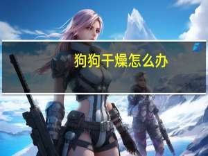 狗狗干燥怎么办