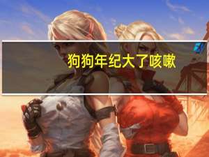 狗狗年纪大了咳嗽