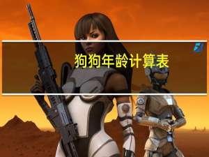 狗狗年龄计算表