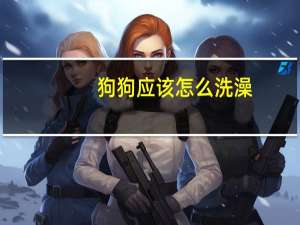 狗狗应该怎么洗澡