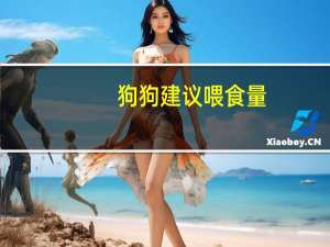狗狗建议喂食量