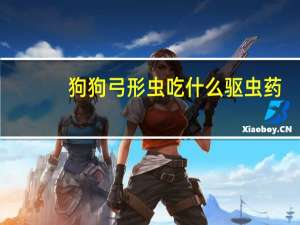 狗狗弓形虫吃什么驱虫药