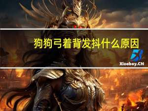 狗狗弓着背发抖什么原因