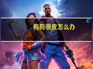 狗狗很皮怎么办