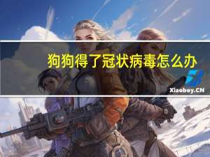 狗狗得了冠状病毒怎么办