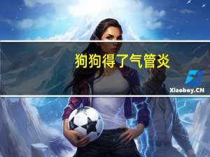 狗狗得了气管炎