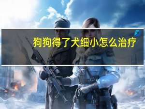 狗狗得了犬细小怎么治疗