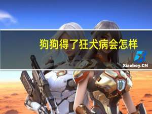 狗狗得了狂犬病会怎样