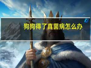 狗狗得了真菌病怎么办