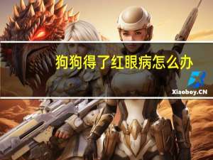 狗狗得了红眼病怎么办