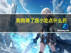 狗狗得了细小吃点什么药