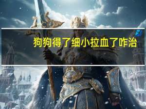 狗狗得了细小拉血了咋治