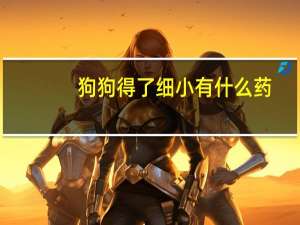 狗狗得了细小有什么药