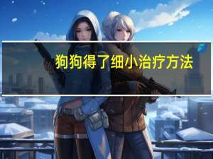 狗狗得了细小治疗方法