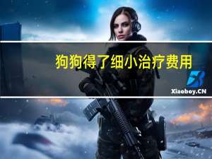 狗狗得了细小治疗费用