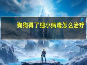 狗狗得了细小病毒怎么治疗