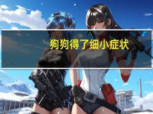 狗狗得了细小症状